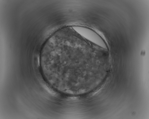 X0000091950061200709271334