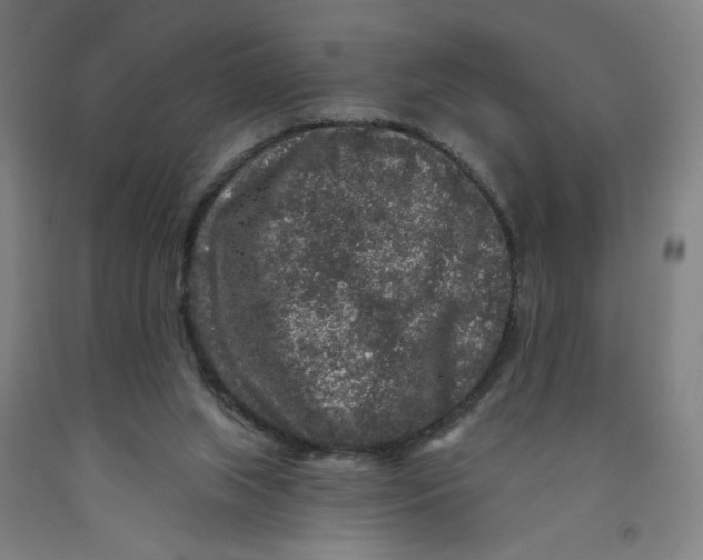 X0000091950063200709271334