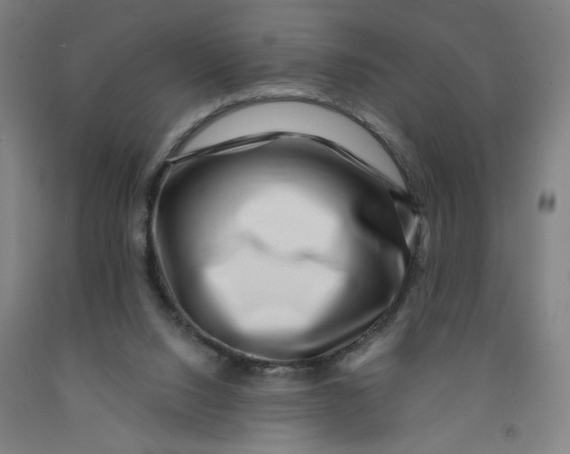 X0000091950064200709271334