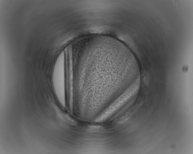 X0000091950066200709271334