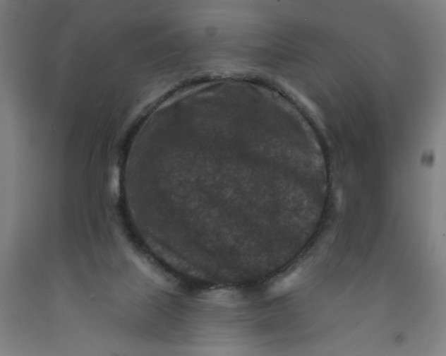 X0000091950067200709271334