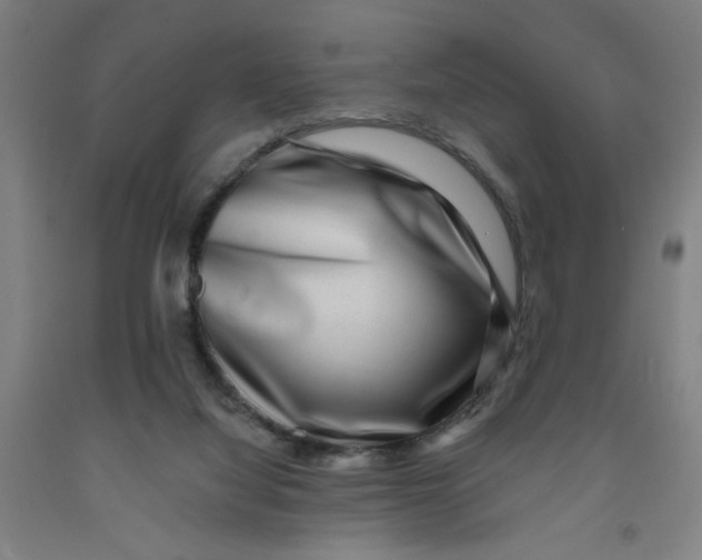 X0000091950068200709271334