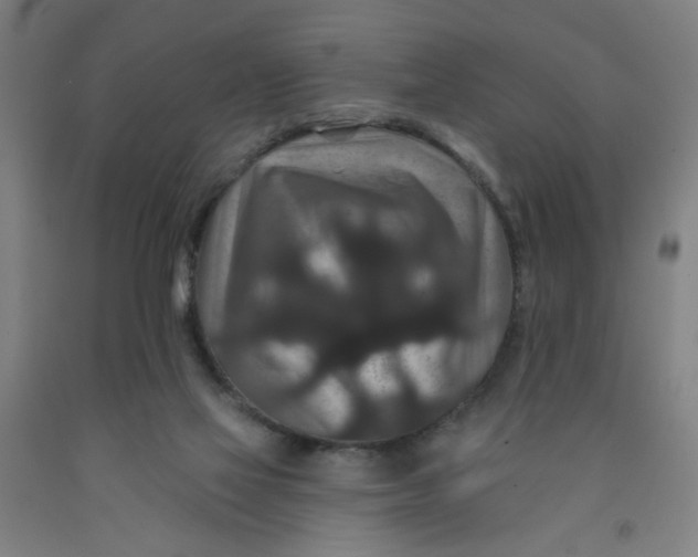 X0000091950069200709271334