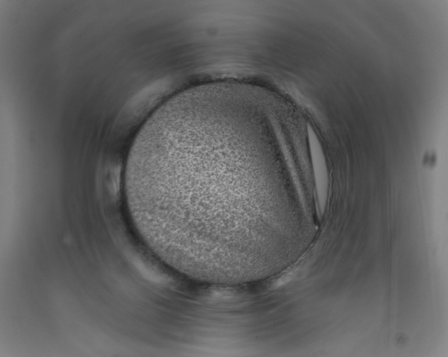 X0000091950070200709271334