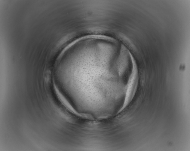 X0000091950071200709271334