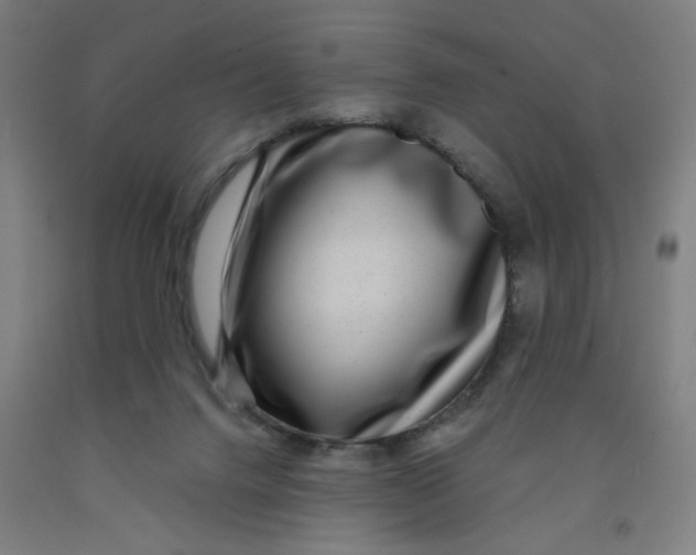 X0000091950072200709271334