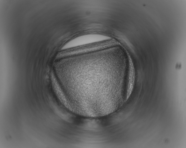 X0000091950073200709271334