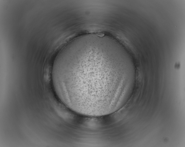 X0000091950074200709271334