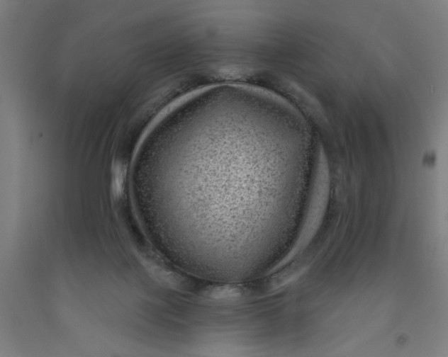 X0000091950075200709271334