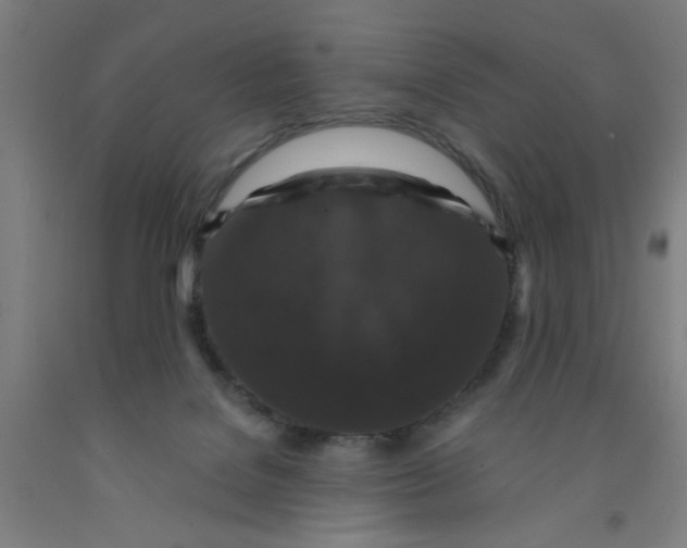 X0000091950076200709271334