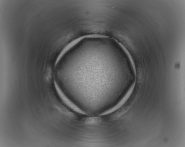 X0000091950077200709271334