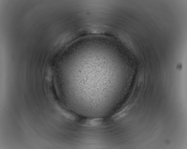 X0000091950078200709271334