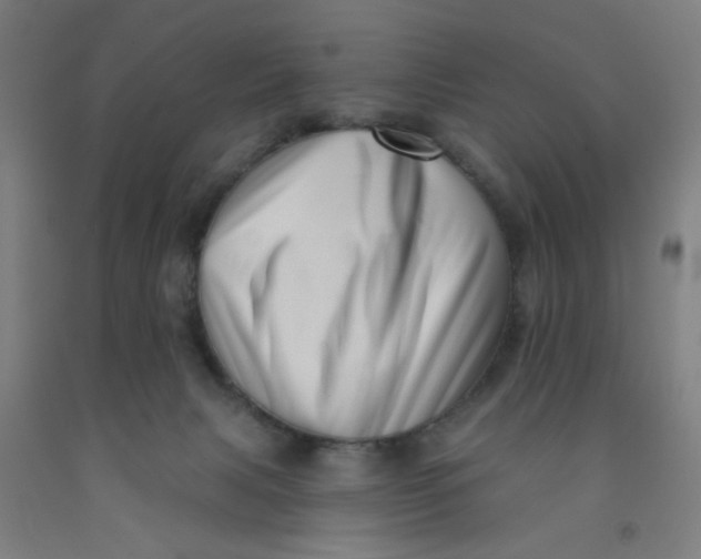 X0000091950079200709271334