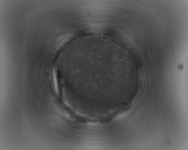 X0000091950080200709271334