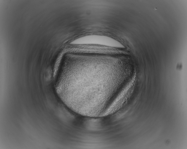 X0000091950081200709271334