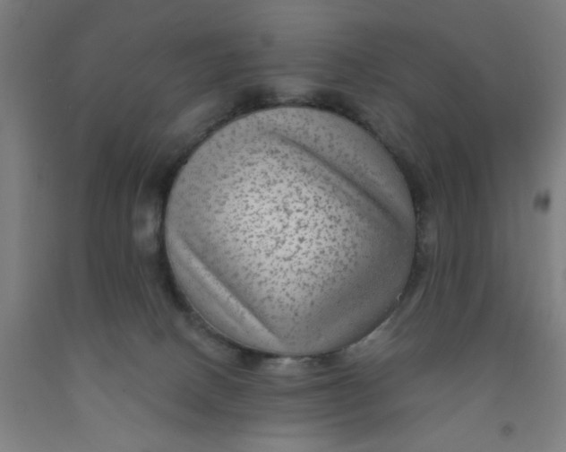 X0000091950082200709271334