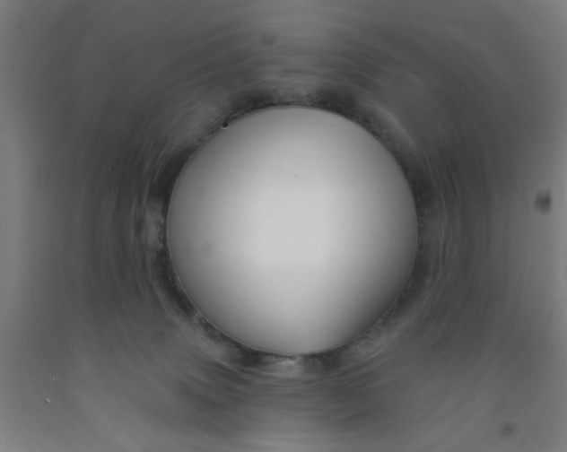 X0000091950083200709271334