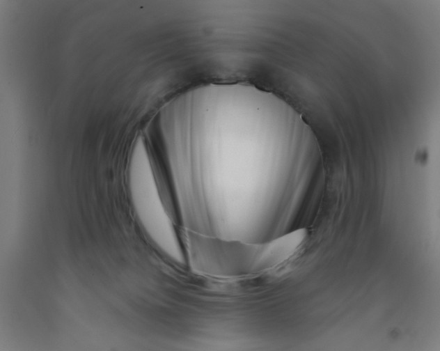 X0000091950084200709271334