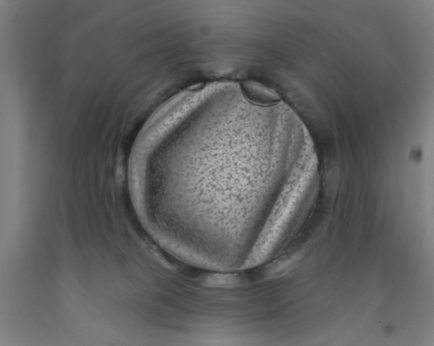 X0000091950085200709271334