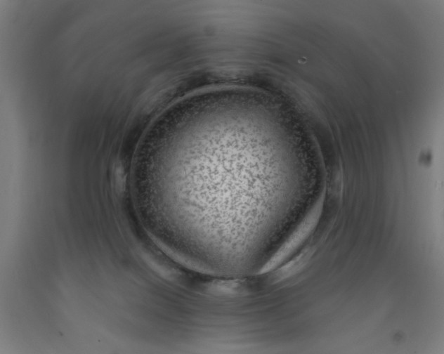 X0000091950086200709271334