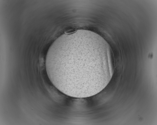 X0000091950087200709271334