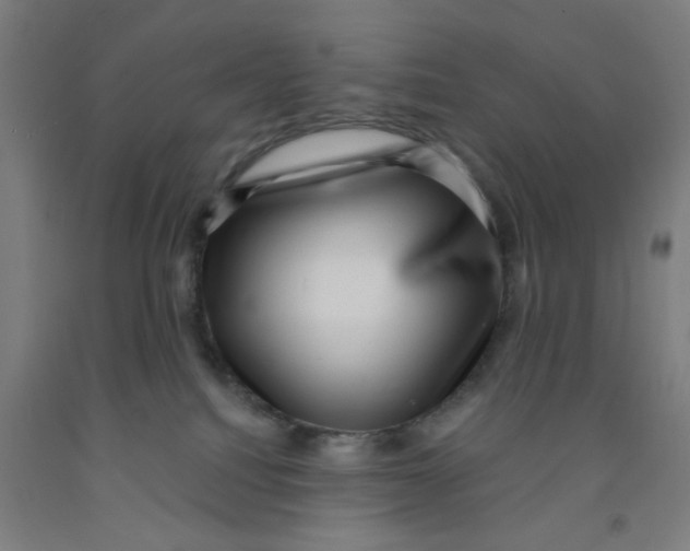 X0000091950088200709271334