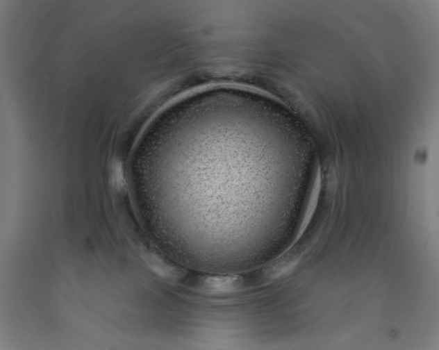 X0000091950089200709271334