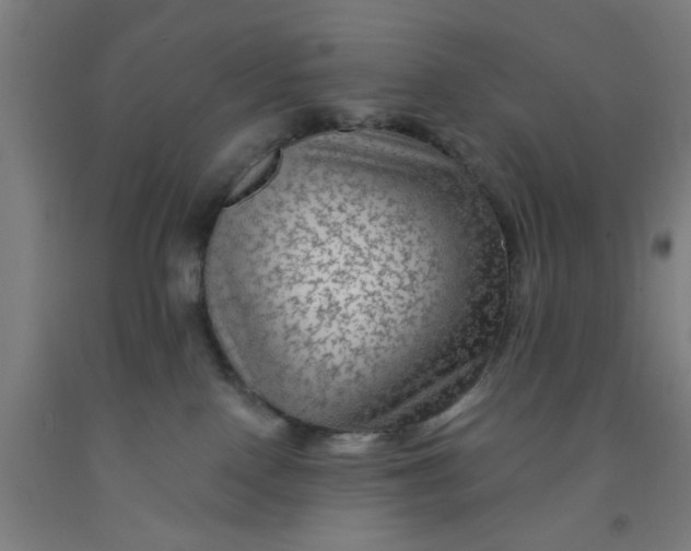 X0000091950090200709271334