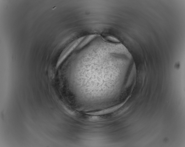 X0000091950091200709271334