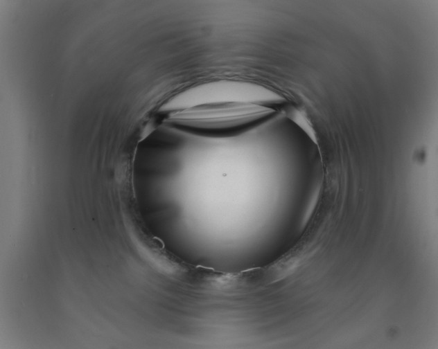 X0000091950092200709271334