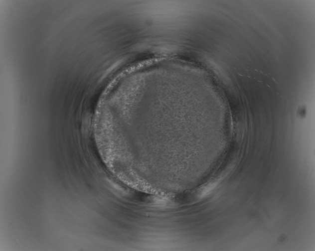 X0000091950093200709271334