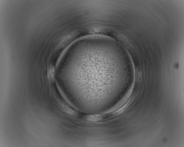 X0000091950094200709271334