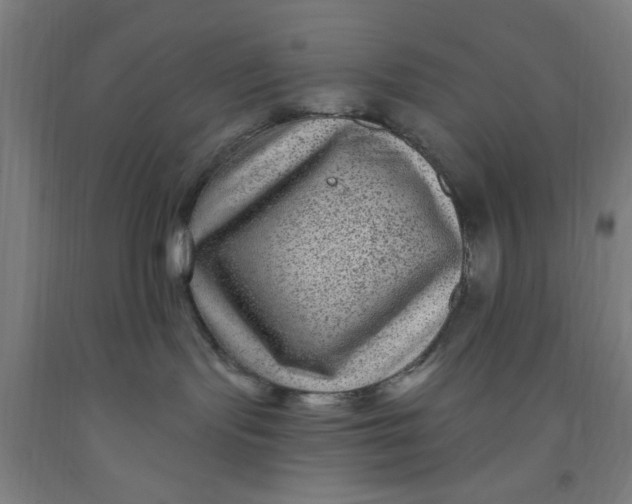 X0000091950095200709271334