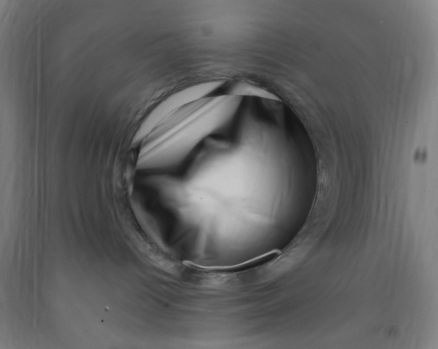 X0000091950096200709271334