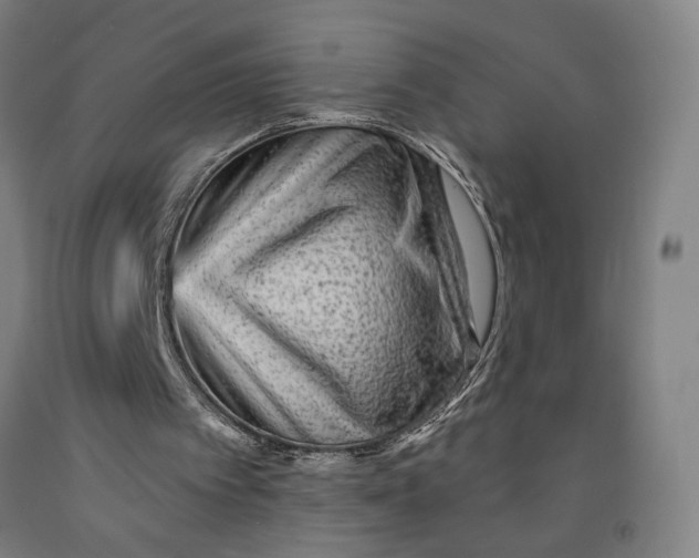 X0000091950097200709271334