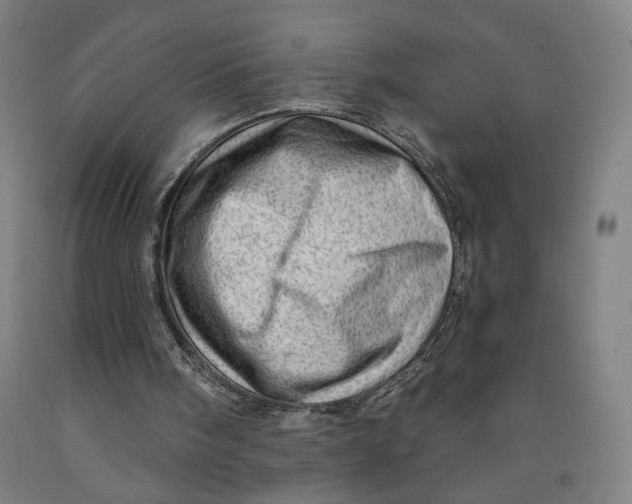 X0000091950098200709271334