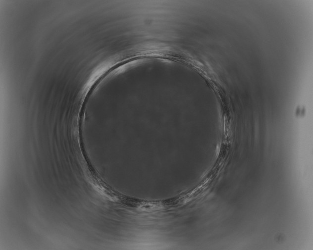 X0000091950099200709271334