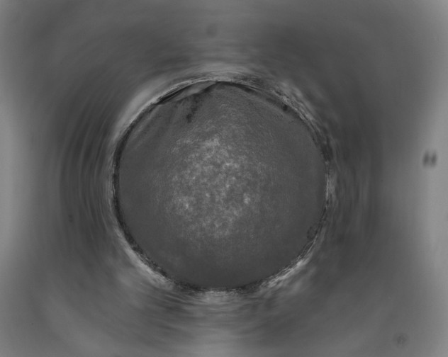 X0000091950101200709271334