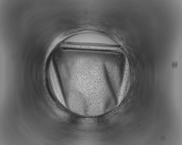 X0000091950102200709271334