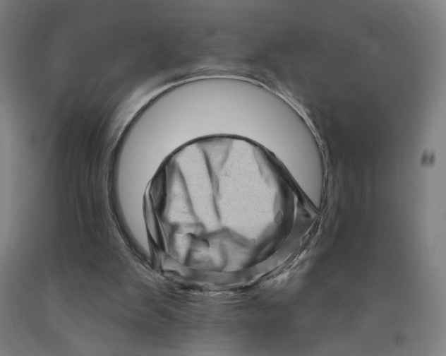 X0000091950103200709271334