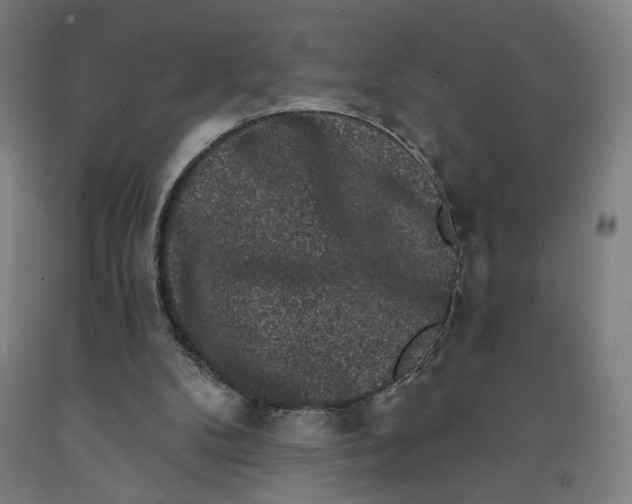 X0000091950104200709271334