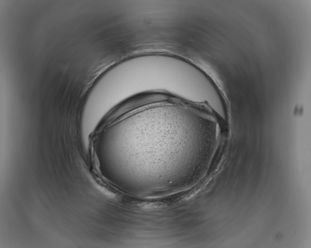 X0000091950105200709271334