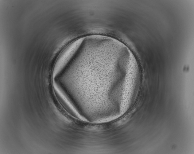 X0000091950106200709271334