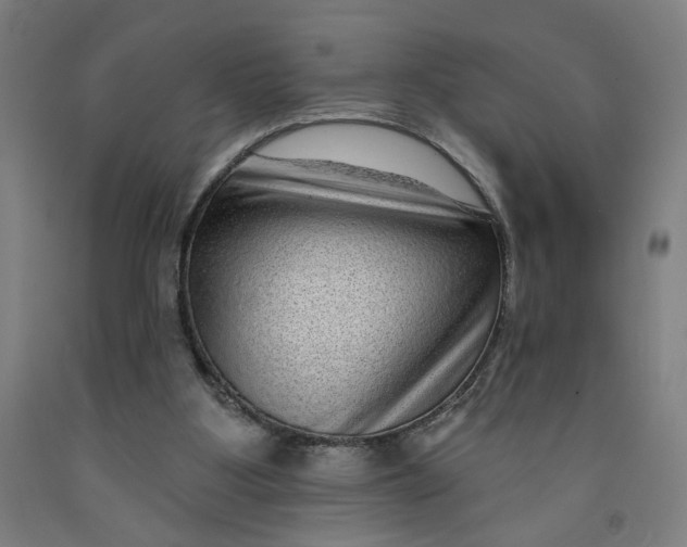 X0000091950107200709271334