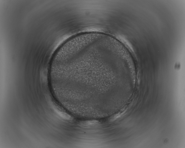 X0000091950108200709271334