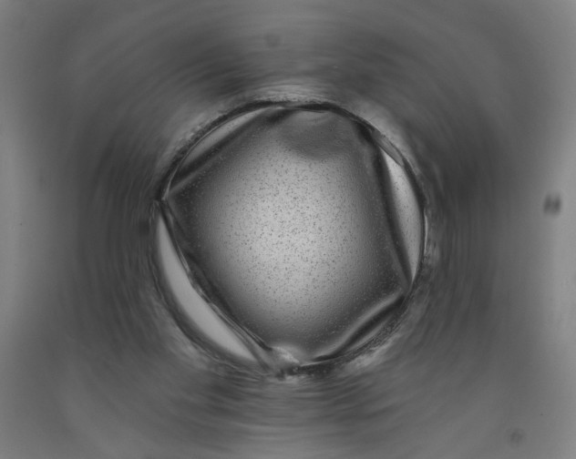 X0000091950109200709271334