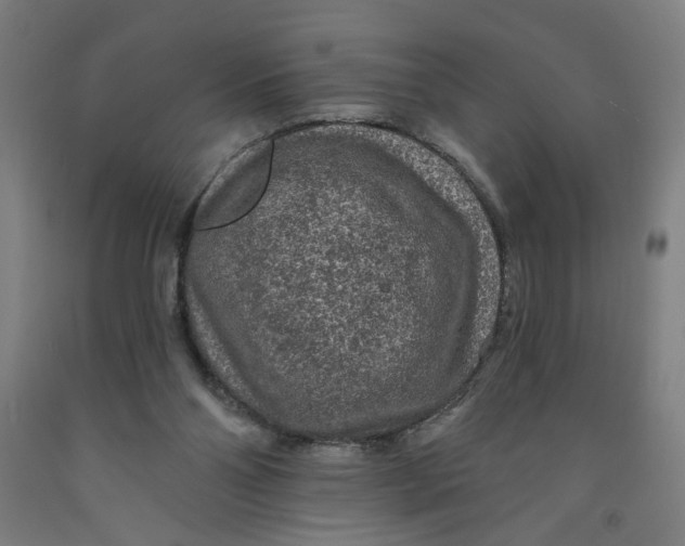 X0000091950110200709271334