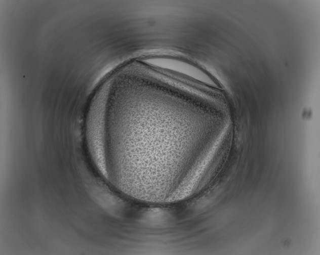 X0000091950111200709271334