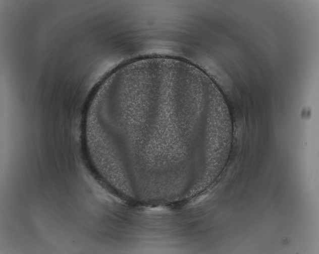 X0000091950112200709271334