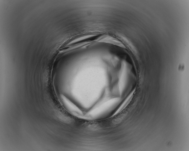 X0000091950113200709271334